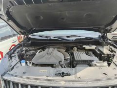 Hongqi HS7 PHEV 2.0T PHEV four-wheel drive Qichang version 6 seats - фото 15