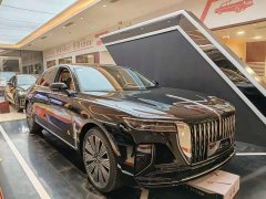 Hongqi H9 2.0T Qichang Private Fashion Edition - фото 2
