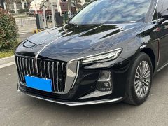 Hongqi H5 2025 1.5T DCT Flag Rhyme Edition - фото 4