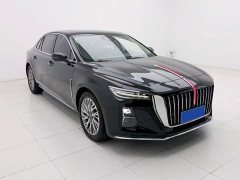 Hongqi H5 2.0T Automatic Zhilianqichang Edition - фото 3