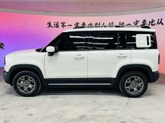 Baojun Yueye Plus 301km flagship version - фото 14