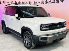Baojun Yueye Plus 301km flagship version - фото 3