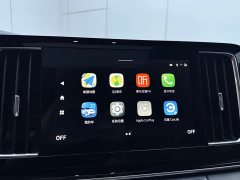 GAC Trumpchi M8 Master Series 390T Premium Edition - фото 13