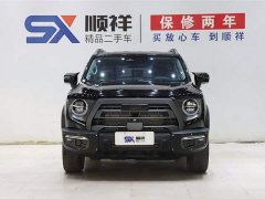 Havaldog 2022 2.0T DCT four-wheel drive roaring dog hunting version - фото 2