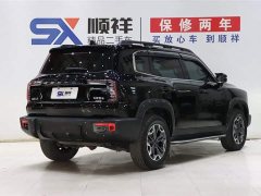 Havaldog 2022 2.0T DCT four-wheel drive roaring dog hunting version - фото 4