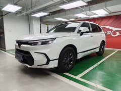 Lexus Haoying 240TURBO two-wheel drive luxury version 5 seats - фото 1