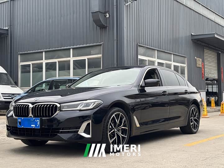 BMW 5 Series 530Li Leading Luxury Package - автомобиль из Китая