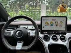 smart #3 Pulse AWD - фото 16