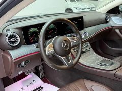 Mercedes-Benz CLS 300 Luxury Version - фото 3