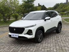 Baojun RS-3 1.5L CVT Version - фото 1