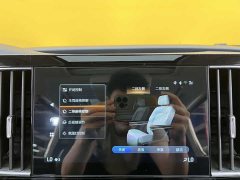 Trumpchi M8 Master Series 390T Supreme Edition - фото 14