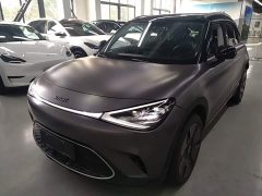 smart Elf #1 2022 Premium Edition - фото 2