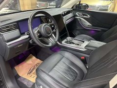 Hongqi HS7 PHEV 2.0T PHEV four-wheel drive Qichang version 6 seats - фото 10