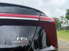 Hongqi H5 2.0T Automatic Zhilianqichang Edition - фото 15