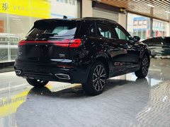 Hongqi HS5 2023 2.0T four-wheel drive Qixiang Pro version - фото 16