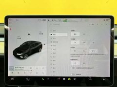 Tesla Model Y standard range rear-wheel drive version - фото 10