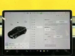 Tesla Model Y standard range rear-wheel drive version - фото 14