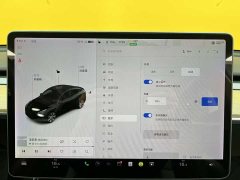 Tesla Model Y standard range rear-wheel drive version - фото 15