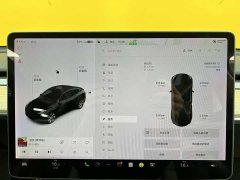 Tesla Model Y standard range rear-wheel drive version - фото 16