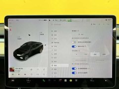 Tesla Model Y standard range rear-wheel drive version - фото 17