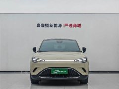 smart Elf #3 Pulse four-wheel drive version - фото 2