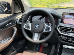 BMW X3 xDrive30i M Sport Package - фото 10