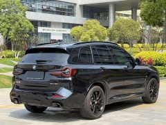 BMW X3 xDrive30i M Sport Package - фото 12