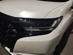 Elise Elysion 2.0L e:HEV Luxury Edition - фото 10