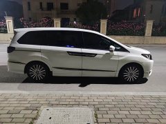 Elise Elysion 2.0L e:HEV Luxury Edition - фото 4