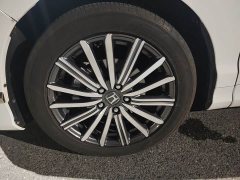 Elise Elysion 2.0L e:HEV Luxury Edition - фото 9