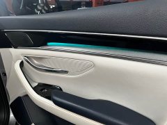 BYD PLUS DM-i 110KM Flagship Version - фото 16