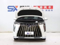 Trumpchi M8 Grandmaster Series Dual Engine Royal Edition - фото 19