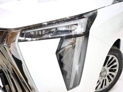Trumpchi M8 Grandmaster Series Dual Engine Royal Edition - фото 7