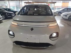 Baojun Yunduo 2023 460 Pro - фото 3
