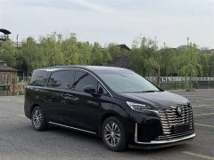 Buick GL8 ES Deluxe Version - фото 2