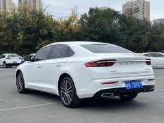 Buick 2.0TD Premium Version - фото 7