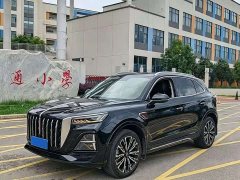 Hongqi HS5 2023 2.0T four-wheel drive flag collar Pro version - фото 1
