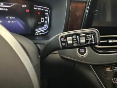 Hongqi HQ9 PHEV 2.0T four-wheel drive luxury version - фото 14