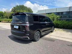 Hongqi HQ9 PHEV 2.0T four-wheel drive luxury version - фото 5