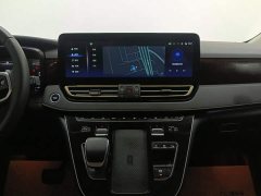 Hongqi HQ9 2.0T Zhilian Qichang Edition - фото 13