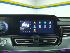 Hongqi HS5 2023 2.0T Qixiang Pro 500,000 Units Commemorative Edition - фото 13