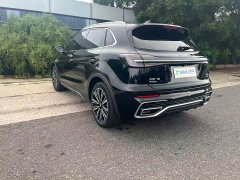 Hongqi HS5 2.0T four-wheel drive Qixiang Pro version - фото 6