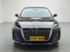 Hongqi H5 2023 2.0T Automatic Zhilian Qichang Edition - фото 2