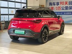 Ora smart#1 BRABUS Edition - фото 6