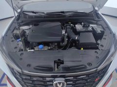 Changan Eado 2024 PLUS Blue Whale NE 1.4T GDI DCT High-Energy Edition - фото 10