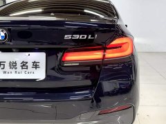 BMW 5 Series Facelift 530Li Exclusive M Sports Package - фото 7