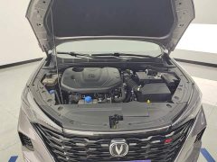 Changan Eado PLUS Blue Whale NE 1.4T GDI DCT Premium - фото 10