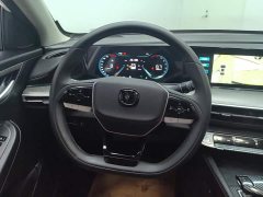 Changan EADO 2023 Enjoy Edition PLUS Blue Whale NE 1.4T GDI DCT Premium Edition - фото 15