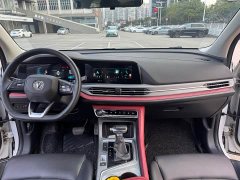Changan CS55 PLUS Blue Whale Edition 1.5T DCT Luxury - фото 19
