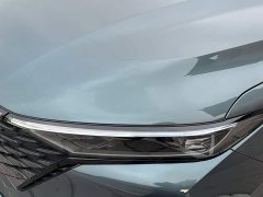 Ruicheng CC Blue Whale Edition 1.5T DCT Premium Type - фото 8